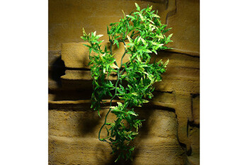 Plastová rostlina Bolivian Croton malá