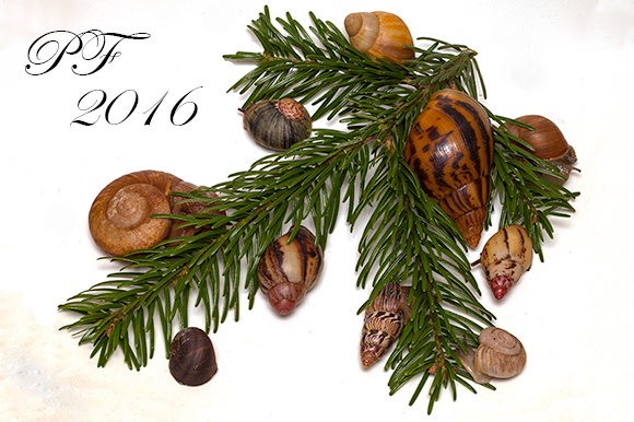 pf2016