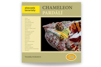 Chameleon pardálí