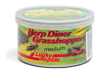 Grasshoppers 50 medium 35 g