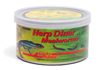 Mealworms 35 g