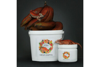Dr. Rhaco New Caledonian Gecko Diet Red Bananas 250 g