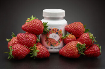 Dr. Rhaco New Caledonian Gecko Diet Strawberry / Red Bananas 100 g