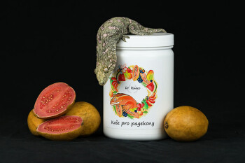 Dr. Rhaco New Caledonian Gecko Diet Guava / Red Bananas 550 g