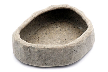 Plastic bowl for minced milestone medium