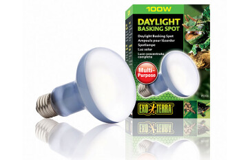Heating lamps Daylight 100W Basking Spot Exo Terra