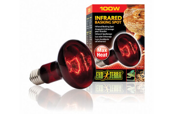 Heating lamps Infrared 100W Basking Spot Exo Terra