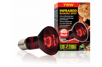Heating lamps Infrared 75W Basking Spot Exo Terra