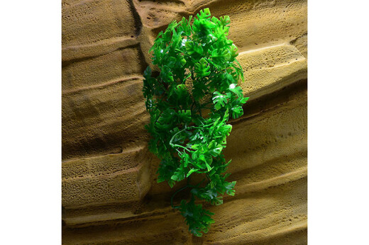 Plastová rostlina Amazonian Phyllo malá