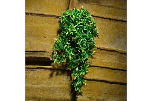 Plastová rostlina Bolivian Croton střední