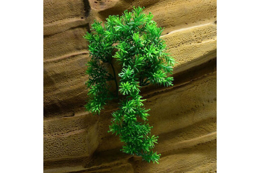 Plastová rostlina Borneo Star malá