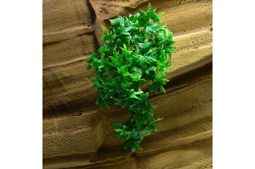 Plastová rostlina Congo Ivy malá