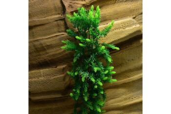 Artificial plant Malaysian Fern large