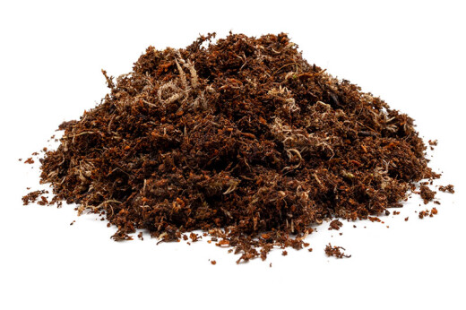 Substrate for Crested Geckos 2.5 l